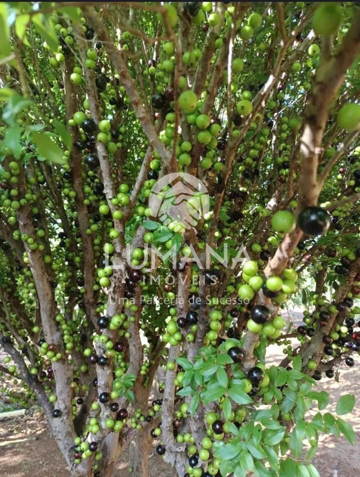 Chácara com barracão