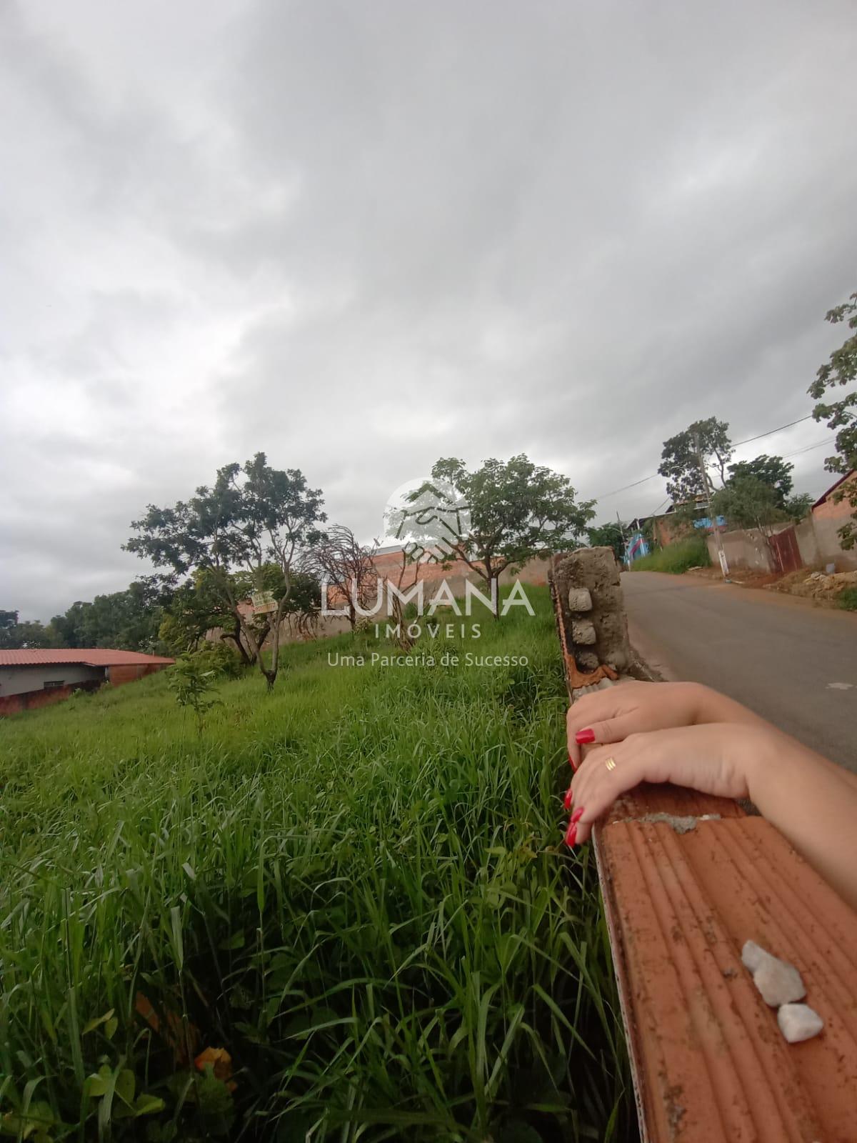 Lote  murado  376,27 m²