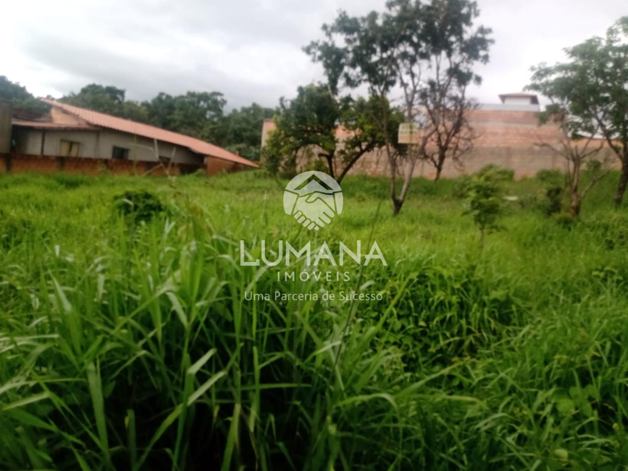 Lote  murado  376,27 m²