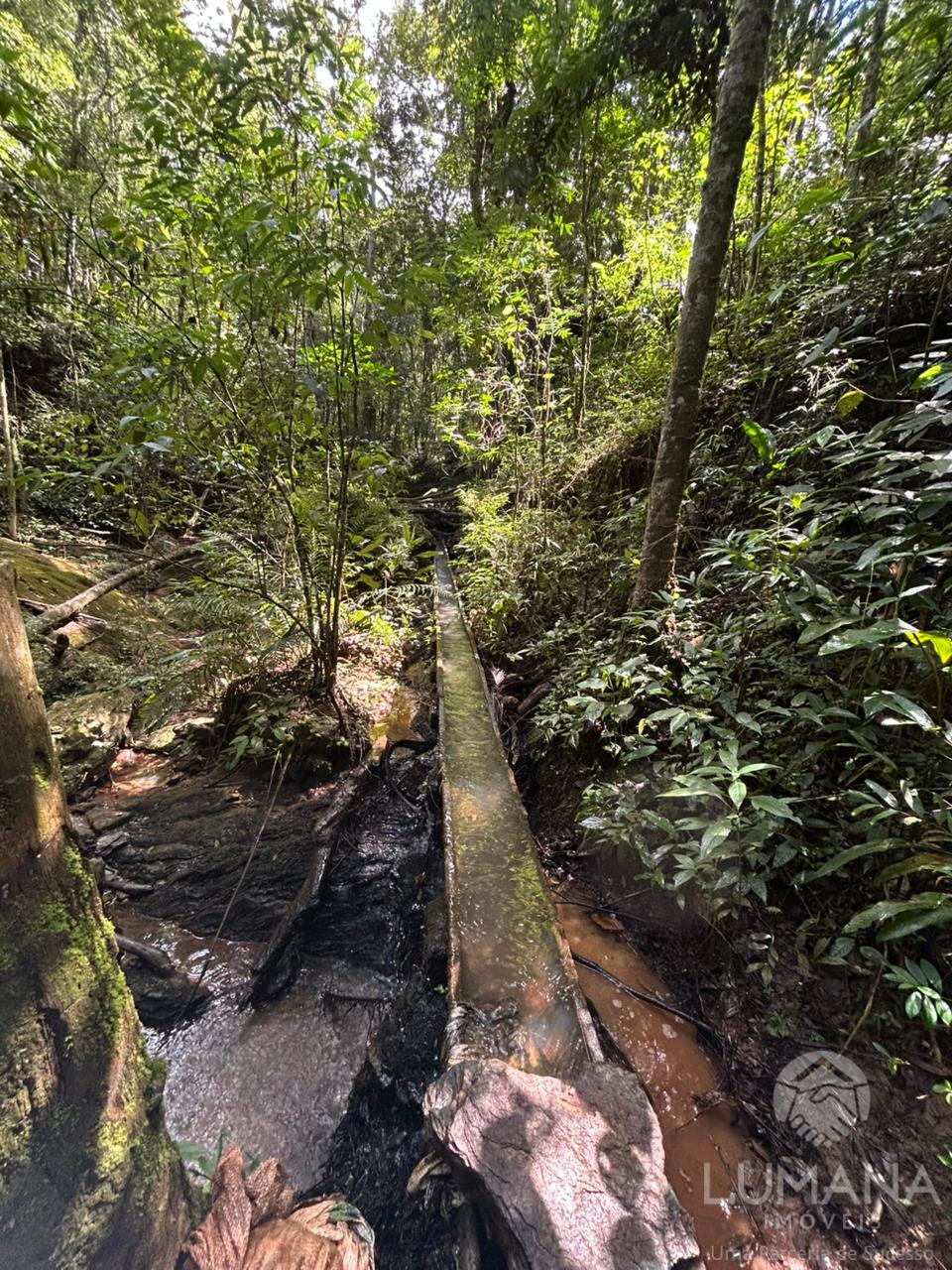 Fazenda "TEMPO ANTIGO" Porteira Fechada e com muita água