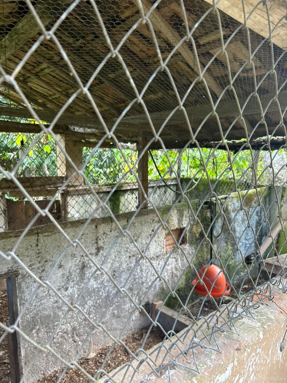 Fazenda "TEMPO ANTIGO" Porteira Fechada e com muita água