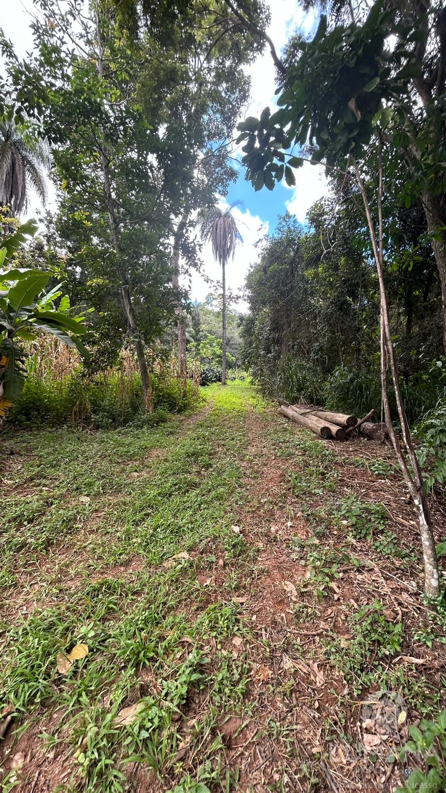 Fazenda "TEMPO ANTIGO" Porteira Fechada e com muita água