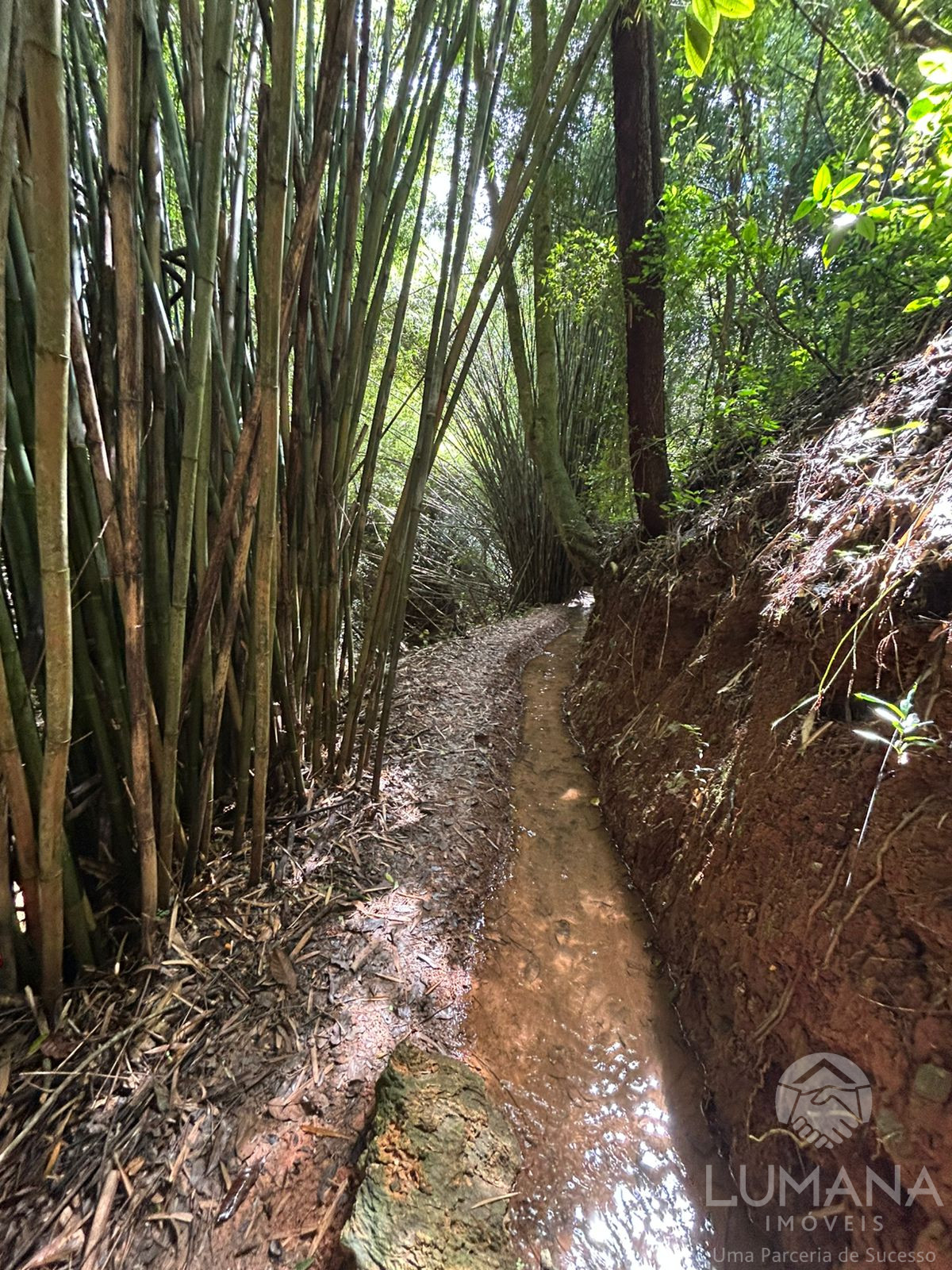 Fazenda "TEMPO ANTIGO" Porteira Fechada e com muita água