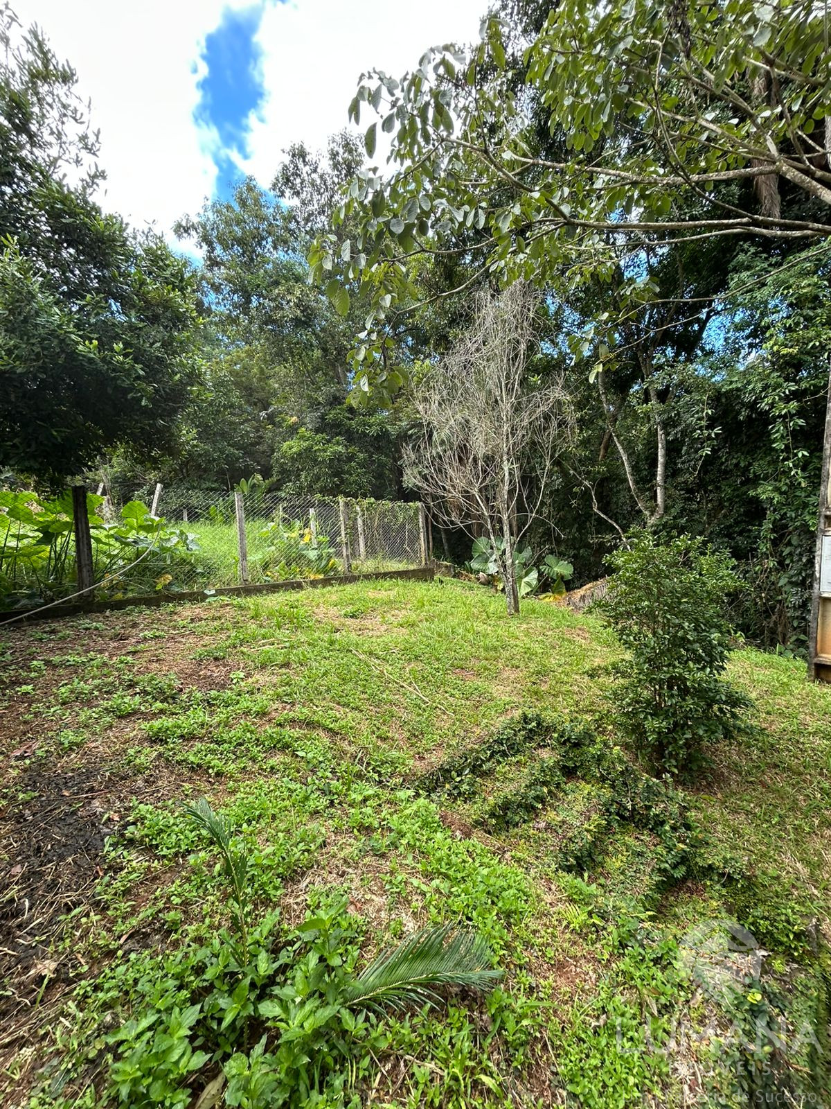 Fazenda "TEMPO ANTIGO" Porteira Fechada e com muita água