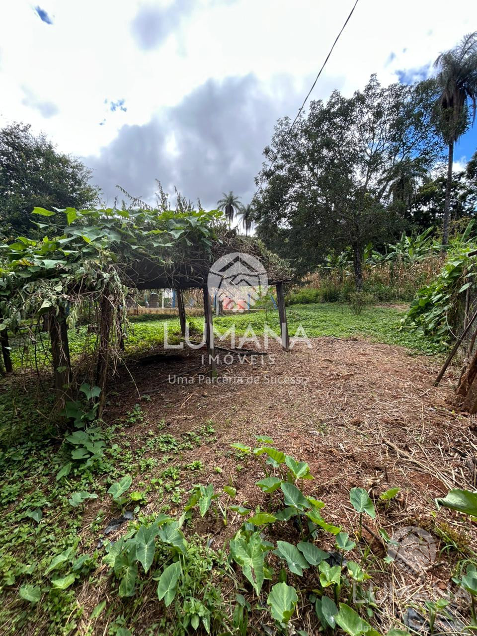Fazenda "TEMPO ANTIGO" Porteira Fechada e com muita água