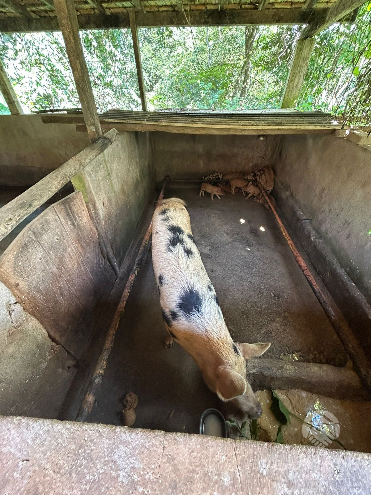 Fazenda "TEMPO ANTIGO" Porteira Fechada e com muita água