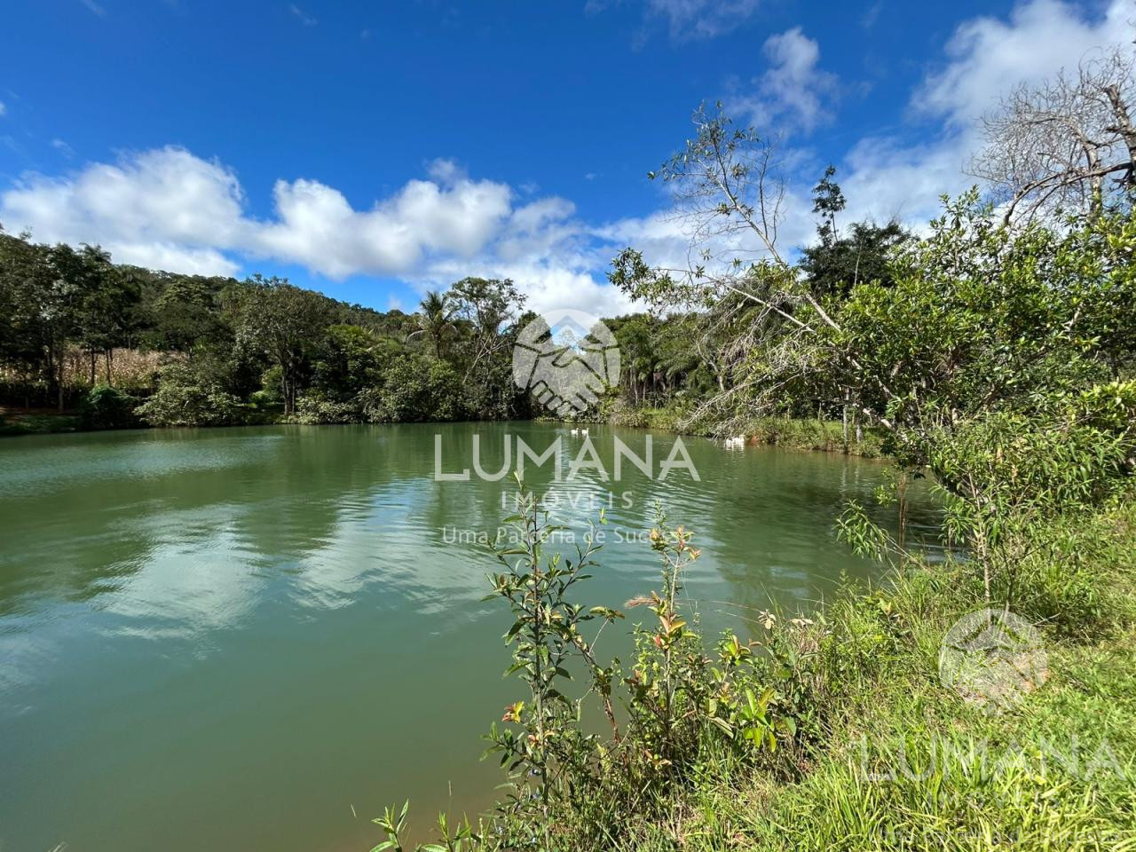 Fazenda "TEMPO ANTIGO" Porteira Fechada e com muita água
