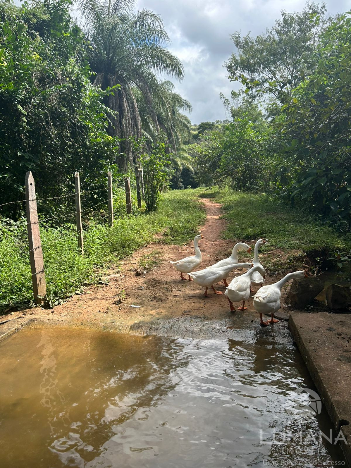 Fazenda "TEMPO ANTIGO" Porteira Fechada e com muita água