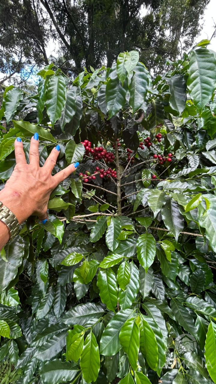 Fazenda "TEMPO ANTIGO" Porteira Fechada e com muita água