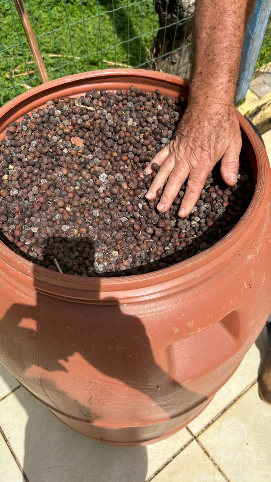 Fazenda "TEMPO ANTIGO" Porteira Fechada e com muita água