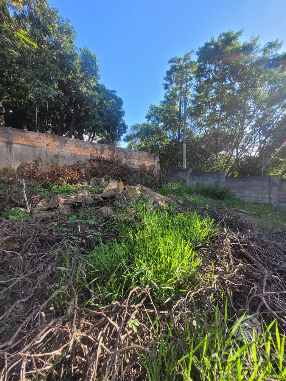 Casa Terreno 1.000 m²