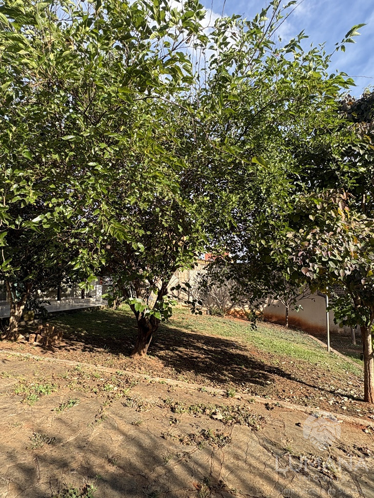CASA COM QUINTAL