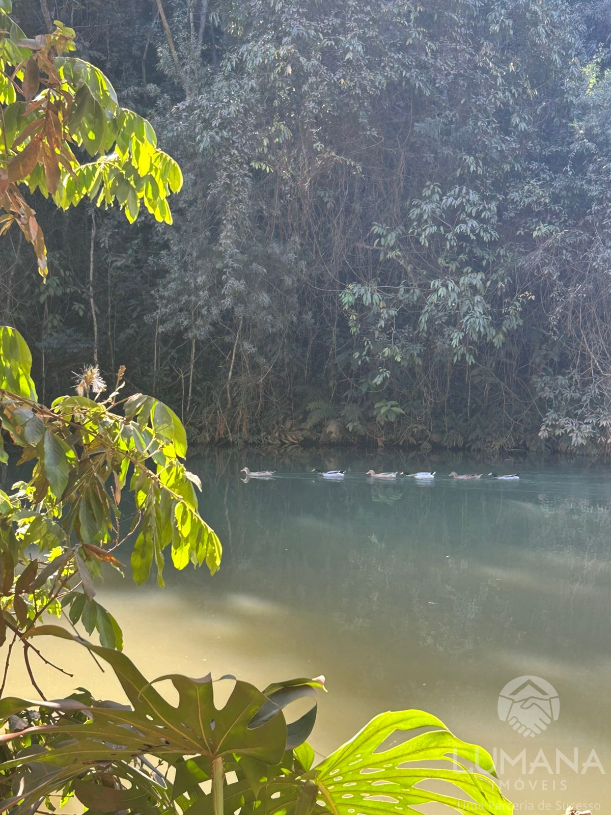 Fazendinha Área Urbana - Lagoa Santa