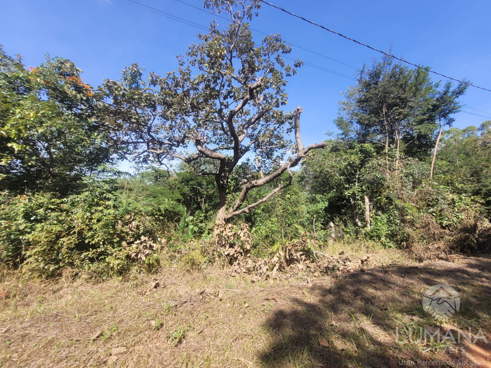 Área/ Terreno