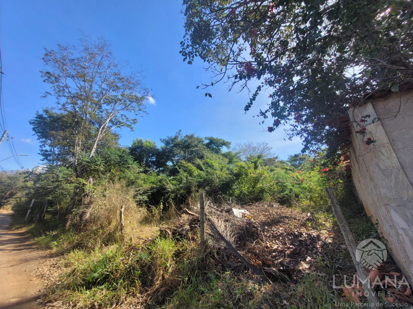 Área/ Terreno