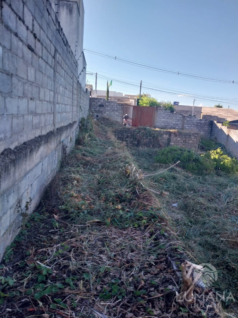 Lote Zr2 Murado