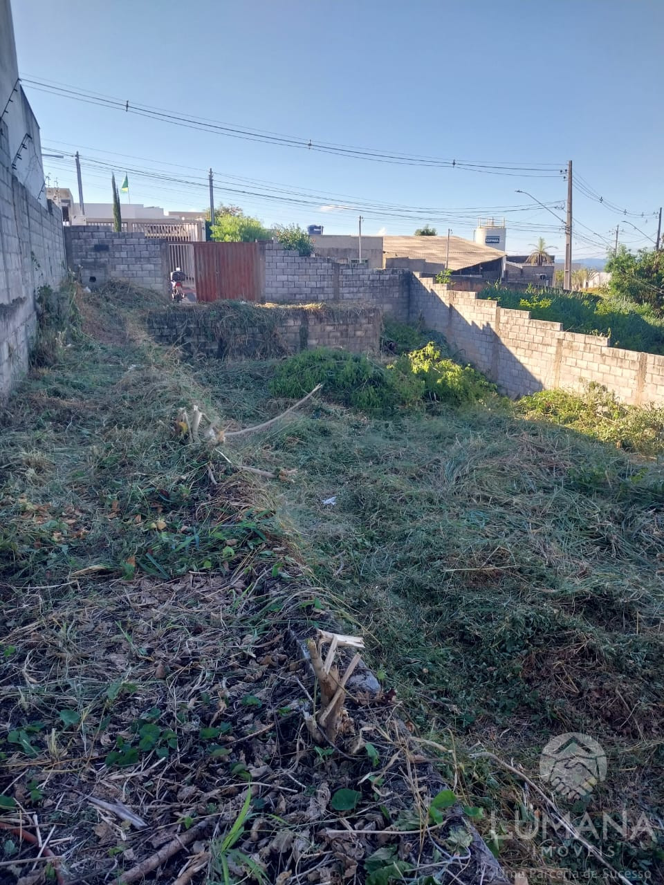 Lote Zr2 Murado
