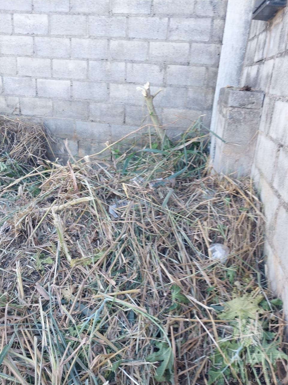 Lote Zr2 Murado