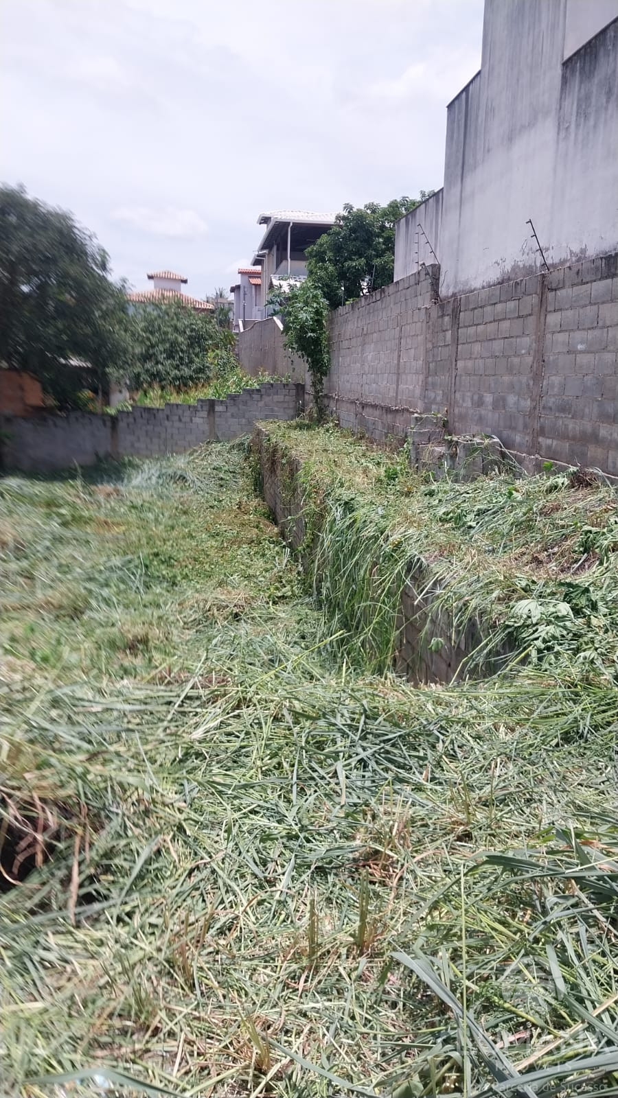 Lote Zr2 Murado