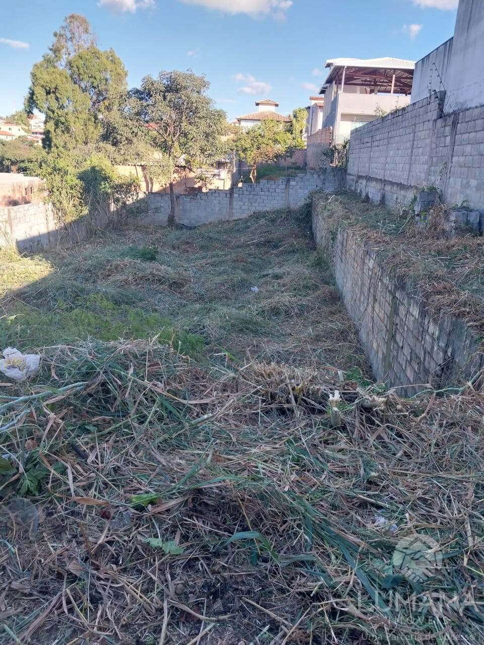 Lote Zr2 Murado