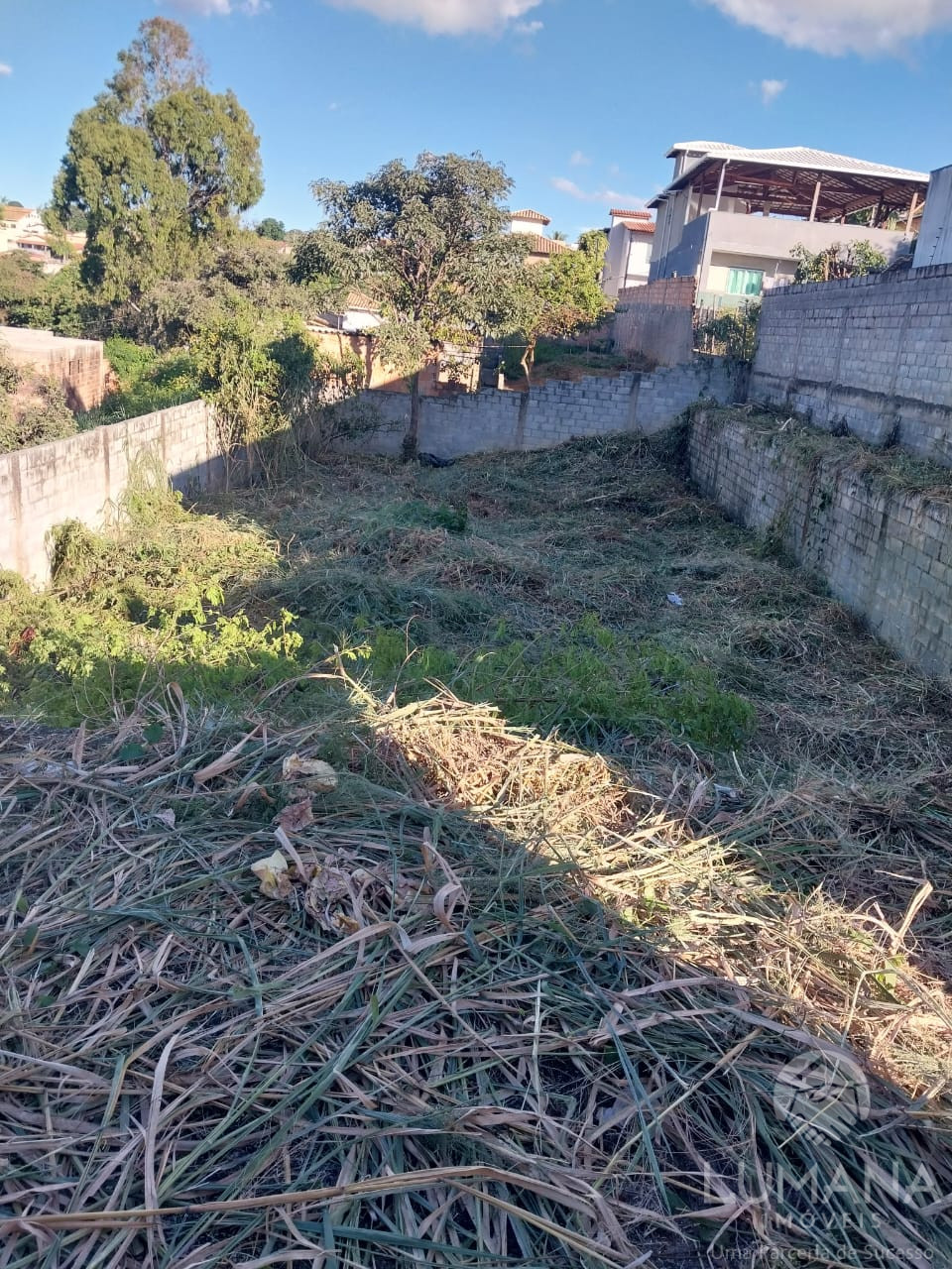 Lote Zr2 Murado