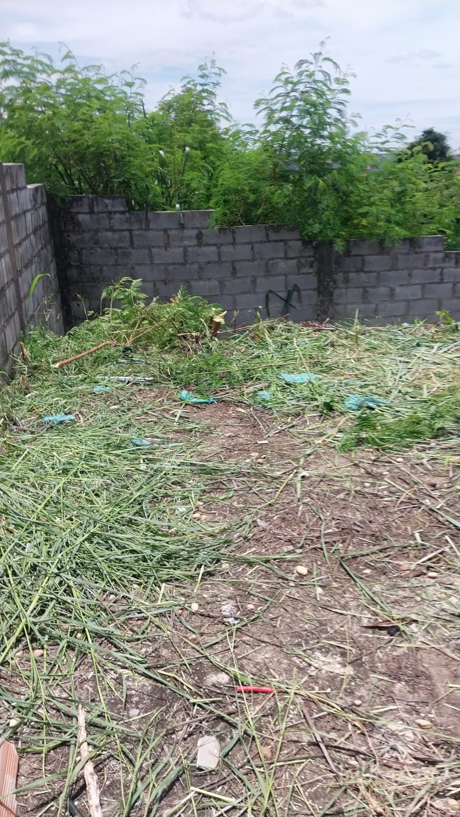 Lote Zr2 Murado
