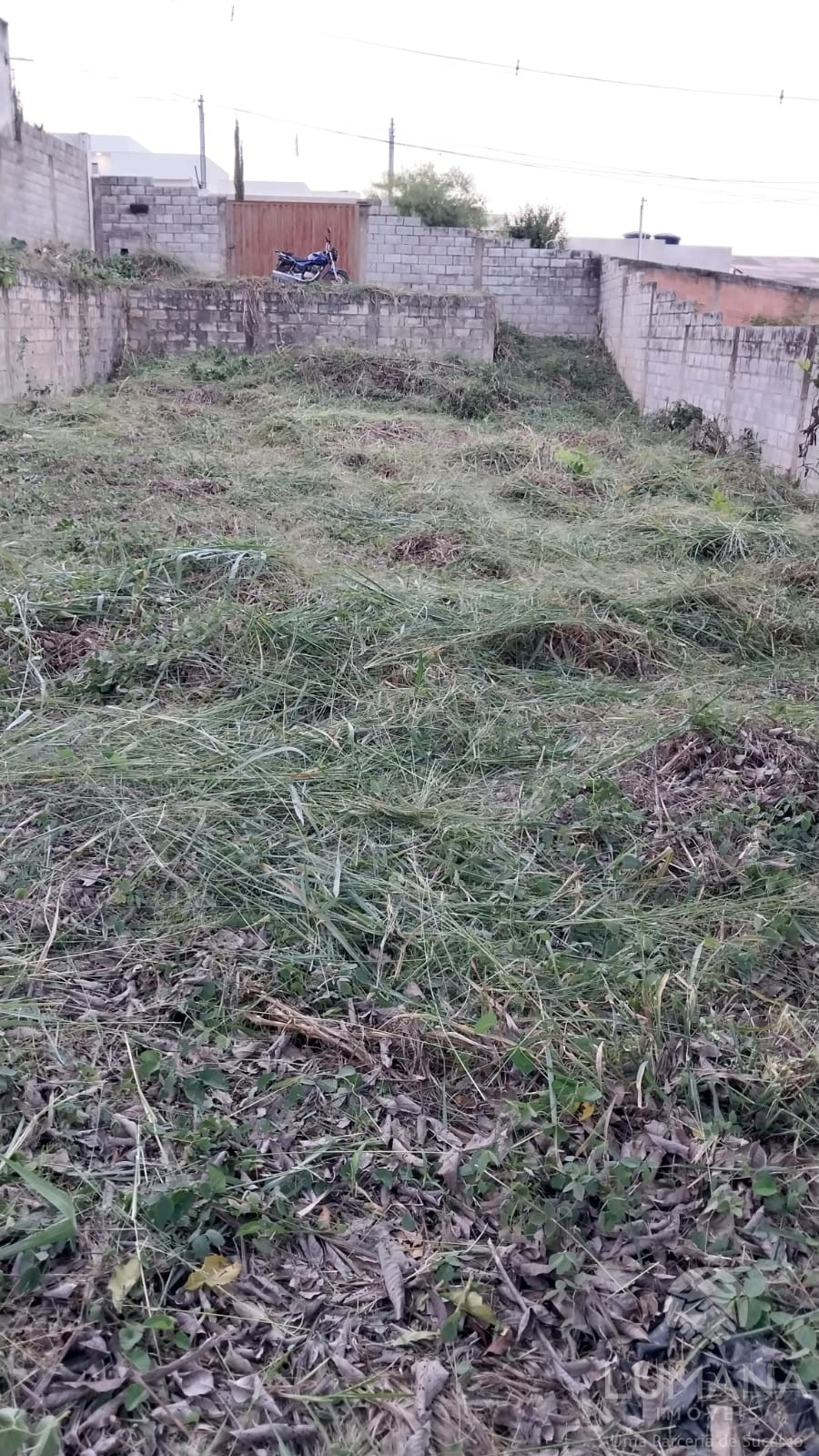 Lote Zr2 Murado