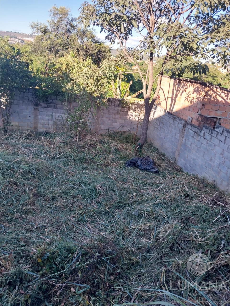 Lote Zr2 Murado
