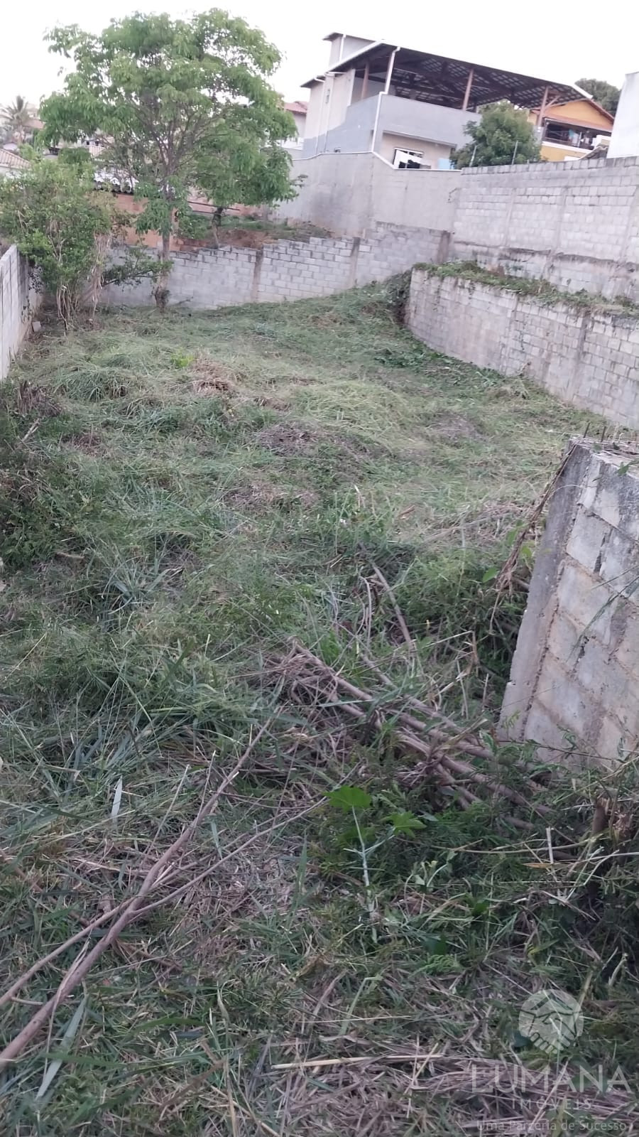Lote Zr2 Murado