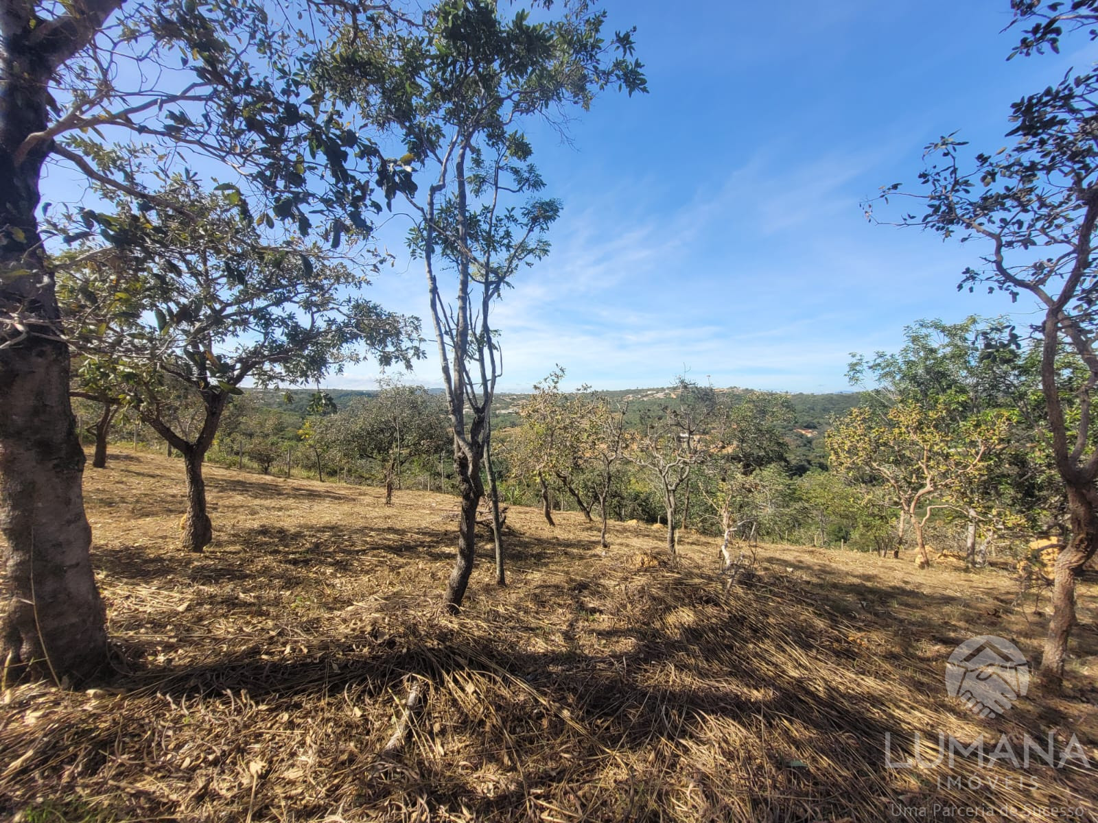 Lote 2.500 m²