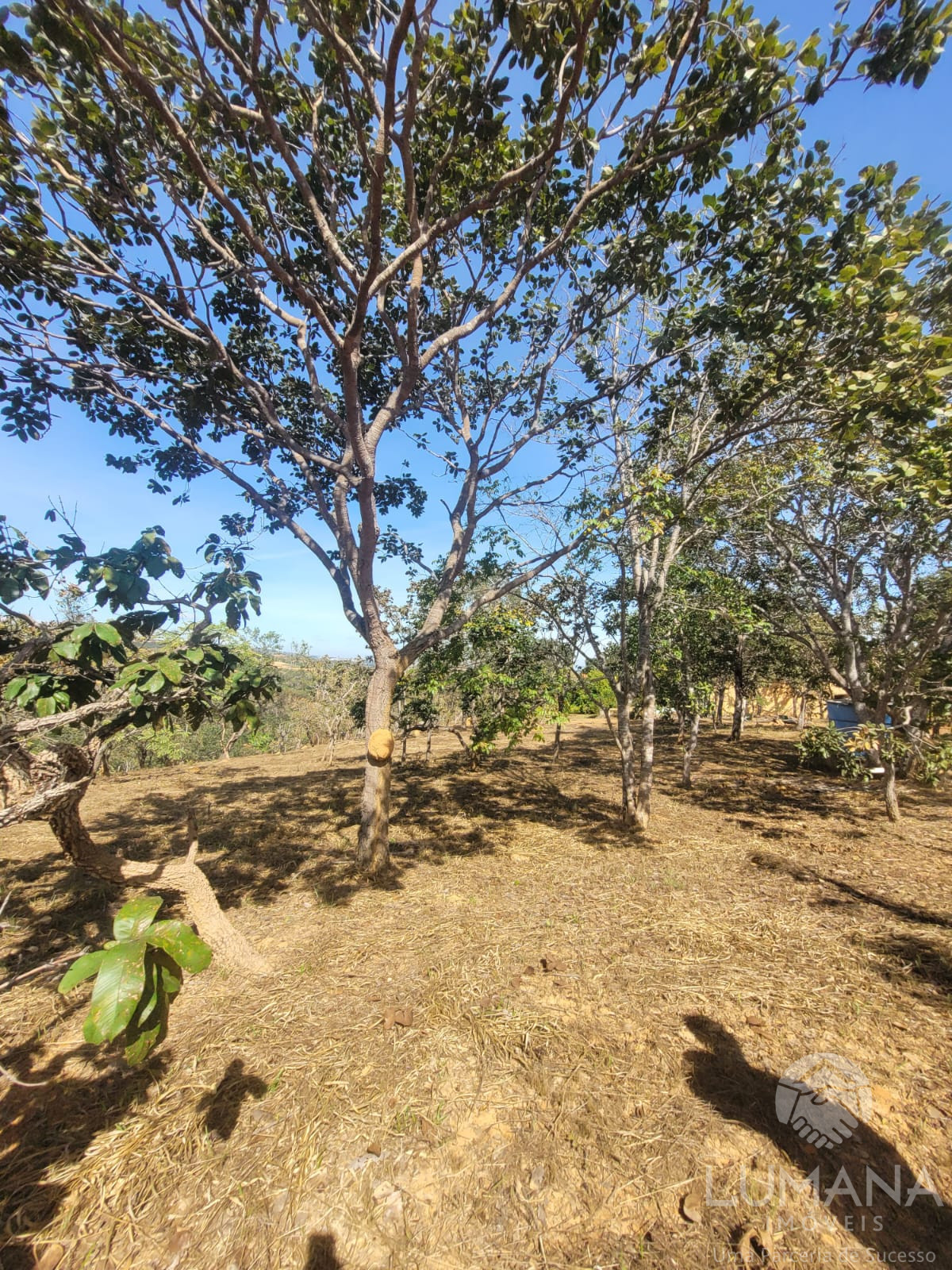 Lote 2.500 m²