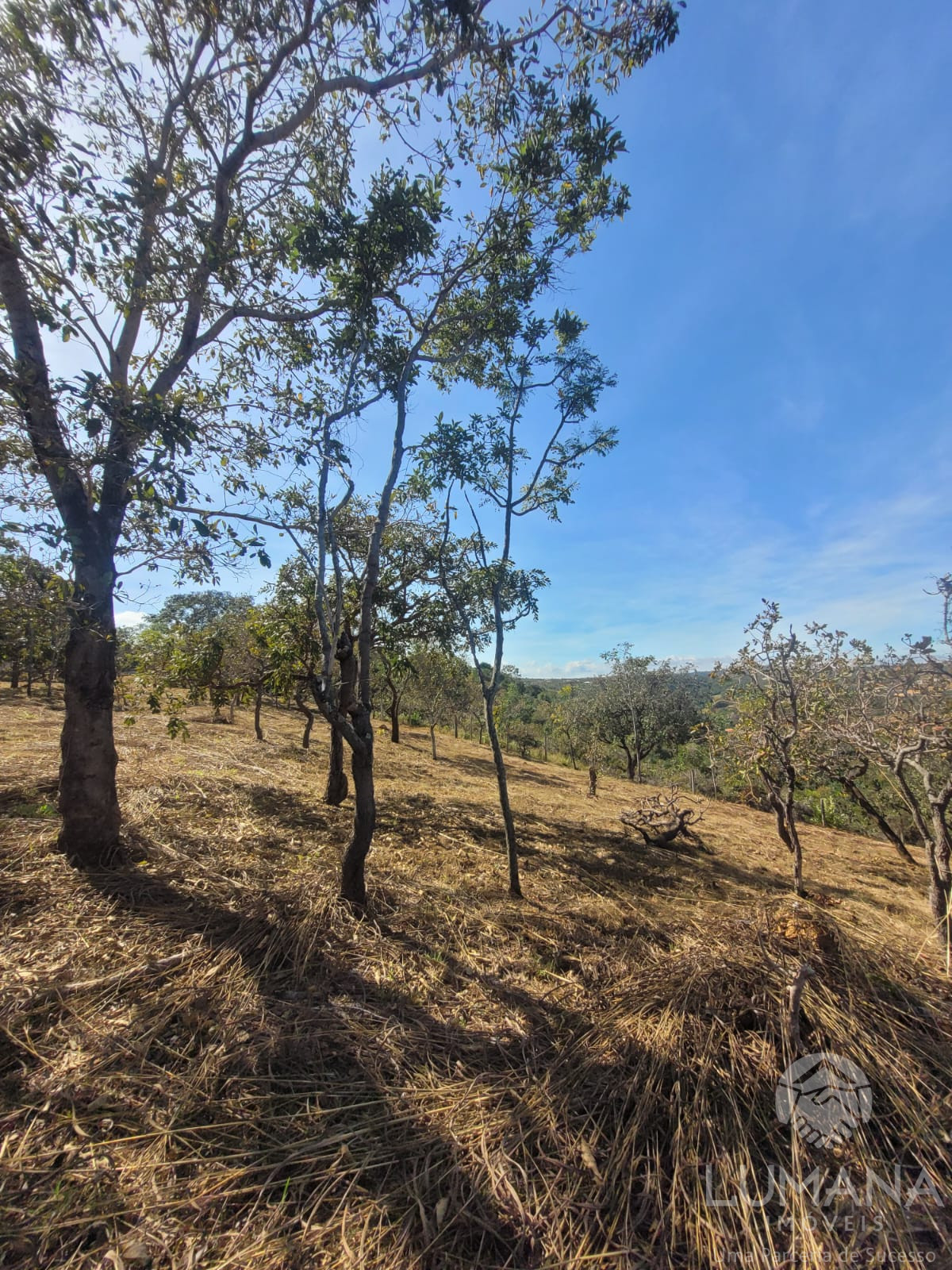 Lote 2.500 m²