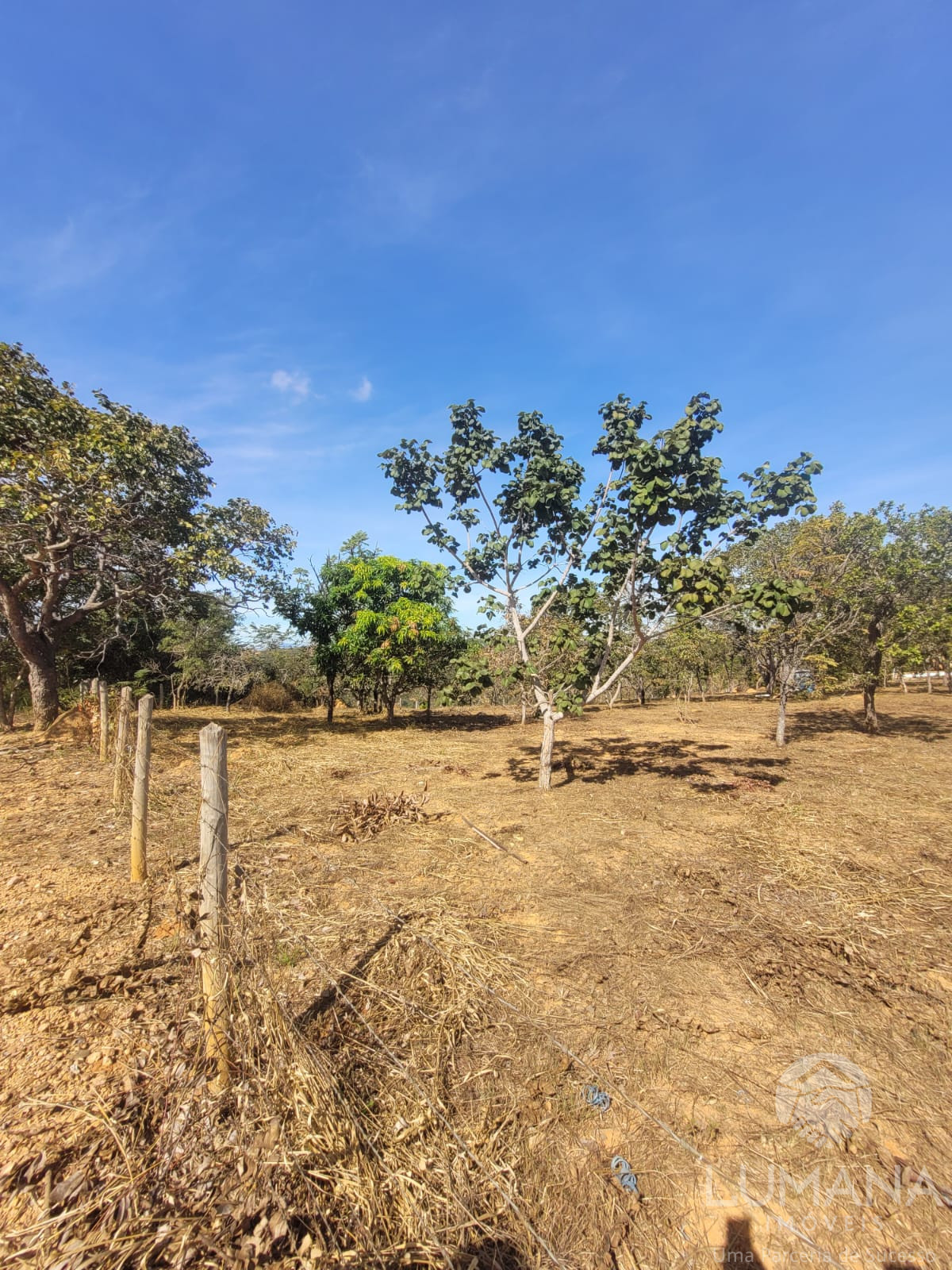 Lote 2.500 m²