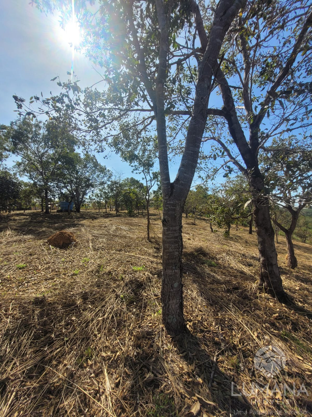 Lote 2.500 m²