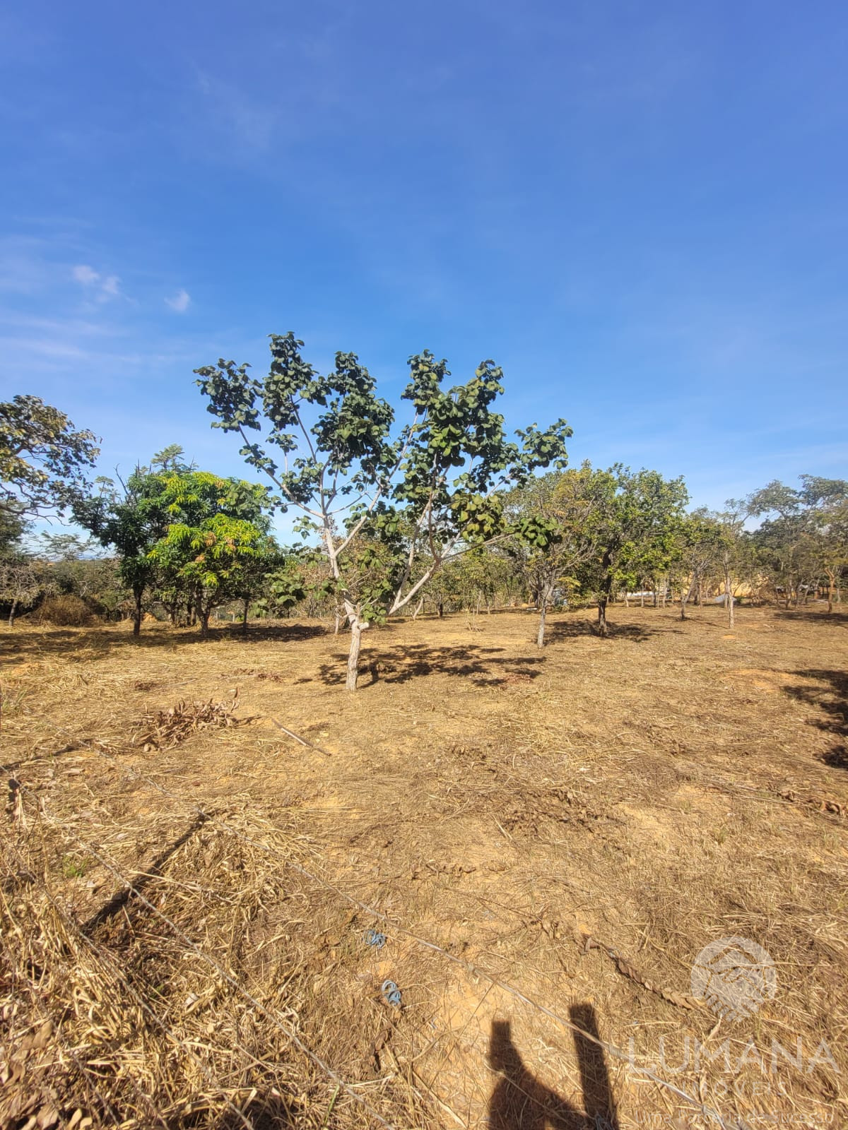 Lote 2.500 m²