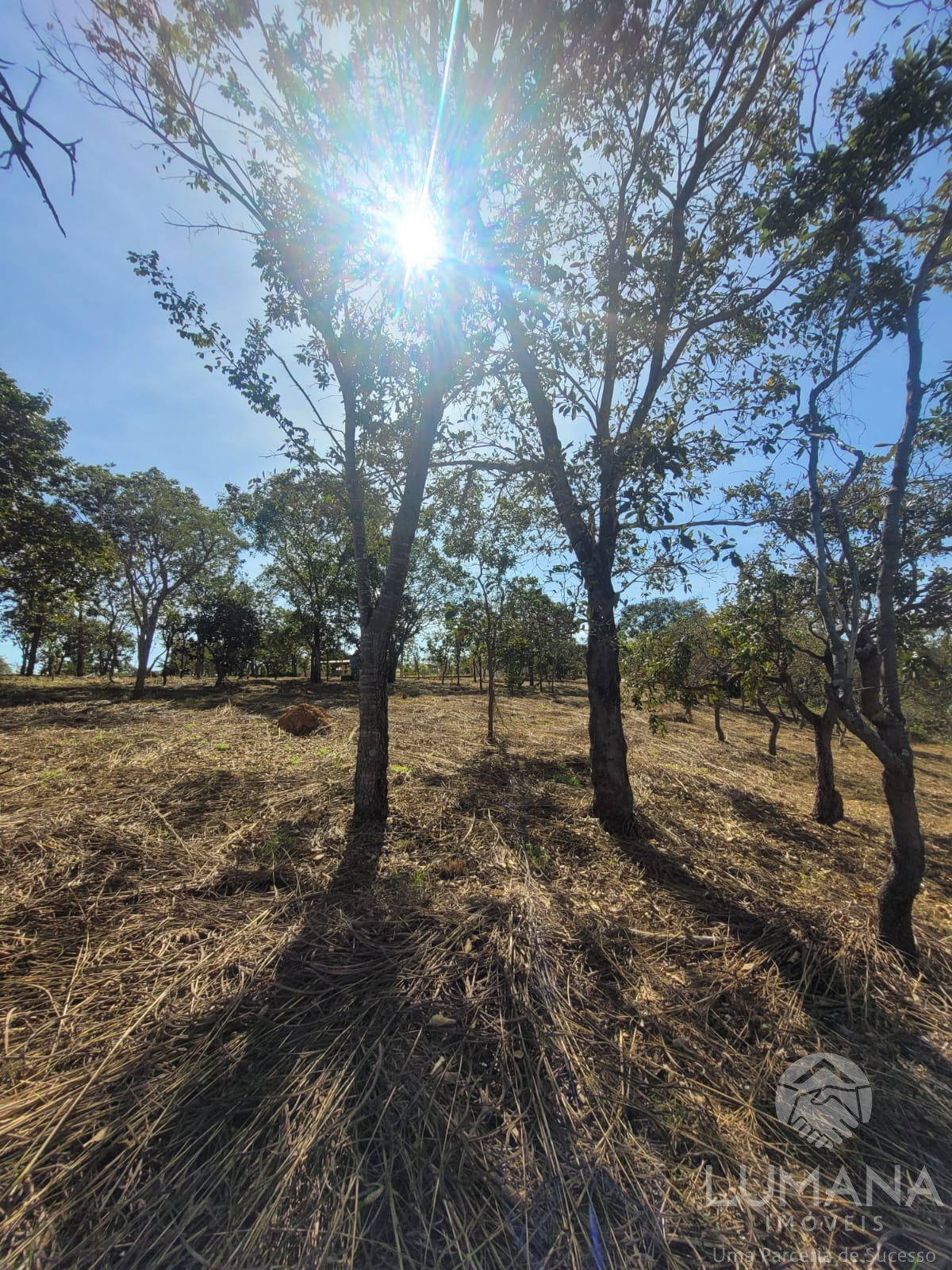 Lote 2.500 m²