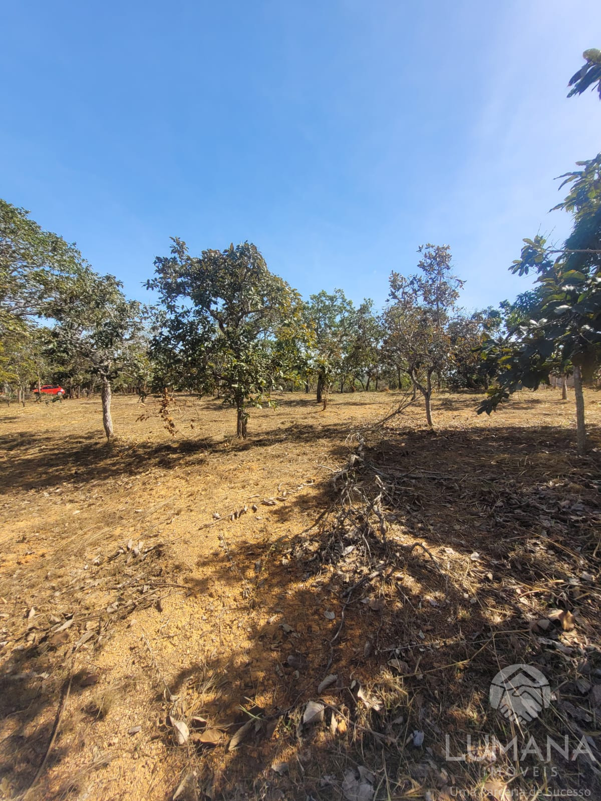 Lote 2.500 m²