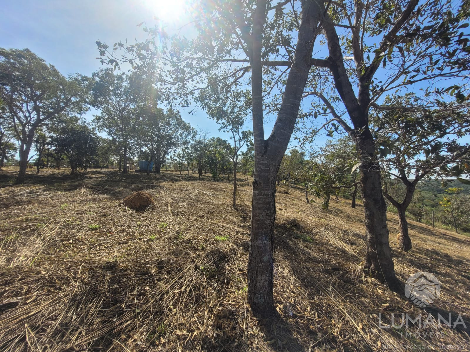Lote 2.500 m²