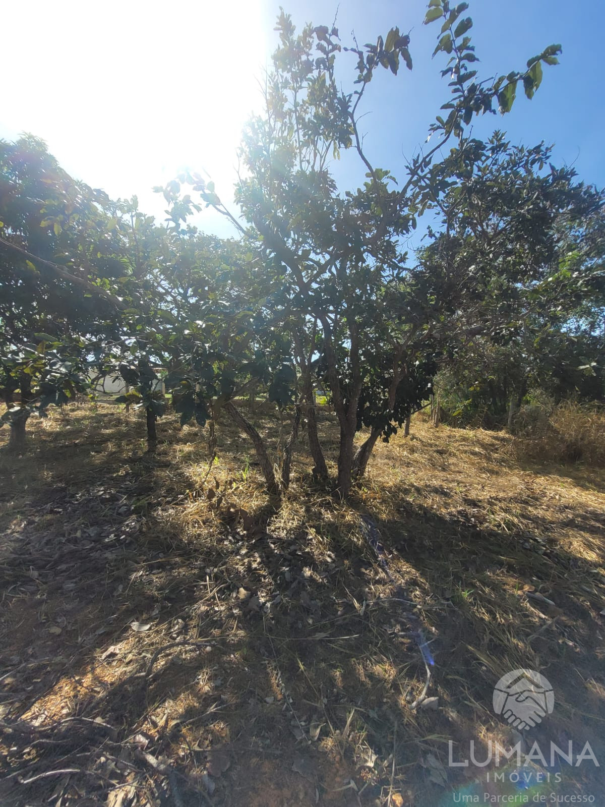 Lote 2.500 m²