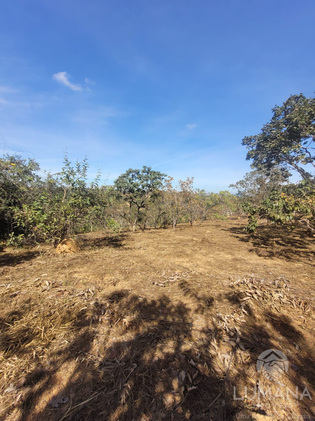 Lote 2.500 m²