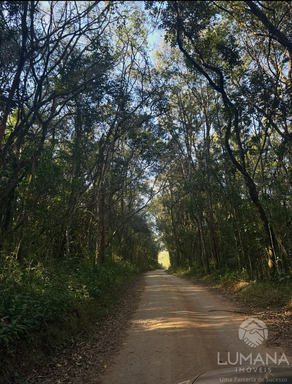 Lote Chacreamento Retido da Mata em Itaguara