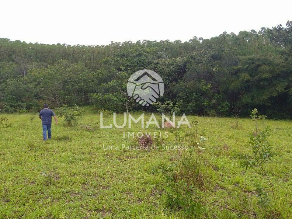 FAZENDA EM CURVELO — foto 7 — Bananal, Curvelo, MG