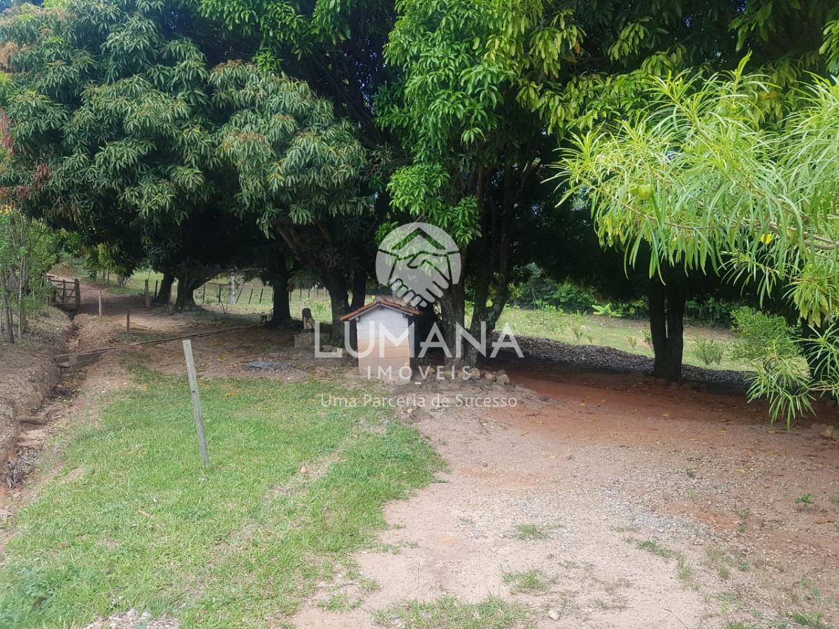 SÍTIO EM TAQUARAÇU — foto 20 — Palmital, Taquaraçu De Minas, MG