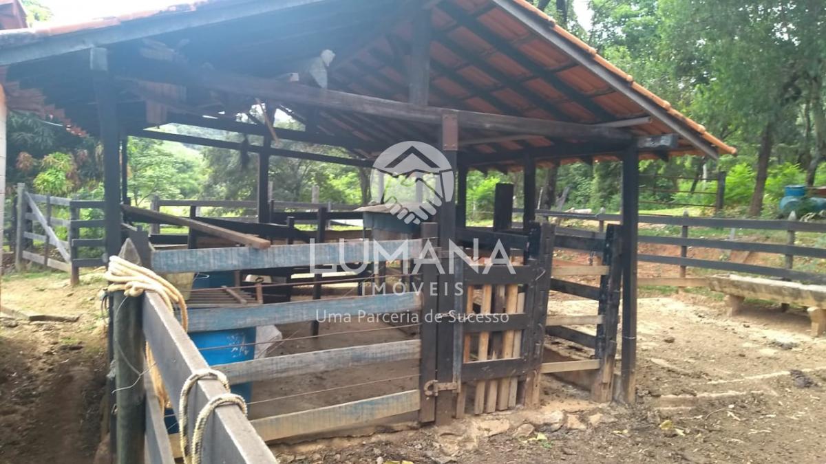 SÍTIO EM TAQUARAÇU — foto 10 — Palmital, Taquaraçu De Minas, MG