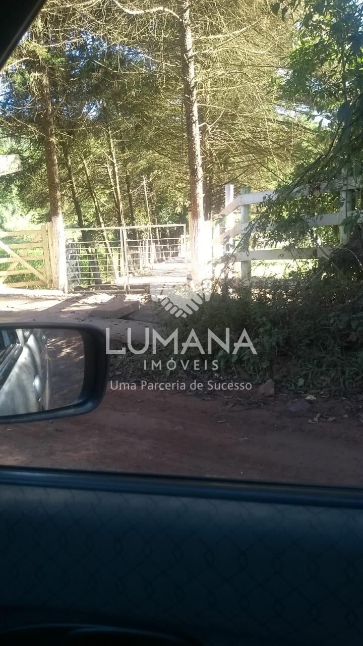 FAZENDA EM CAETÉ — foto 8 — Antônio Dos Santos, Caeté, MG