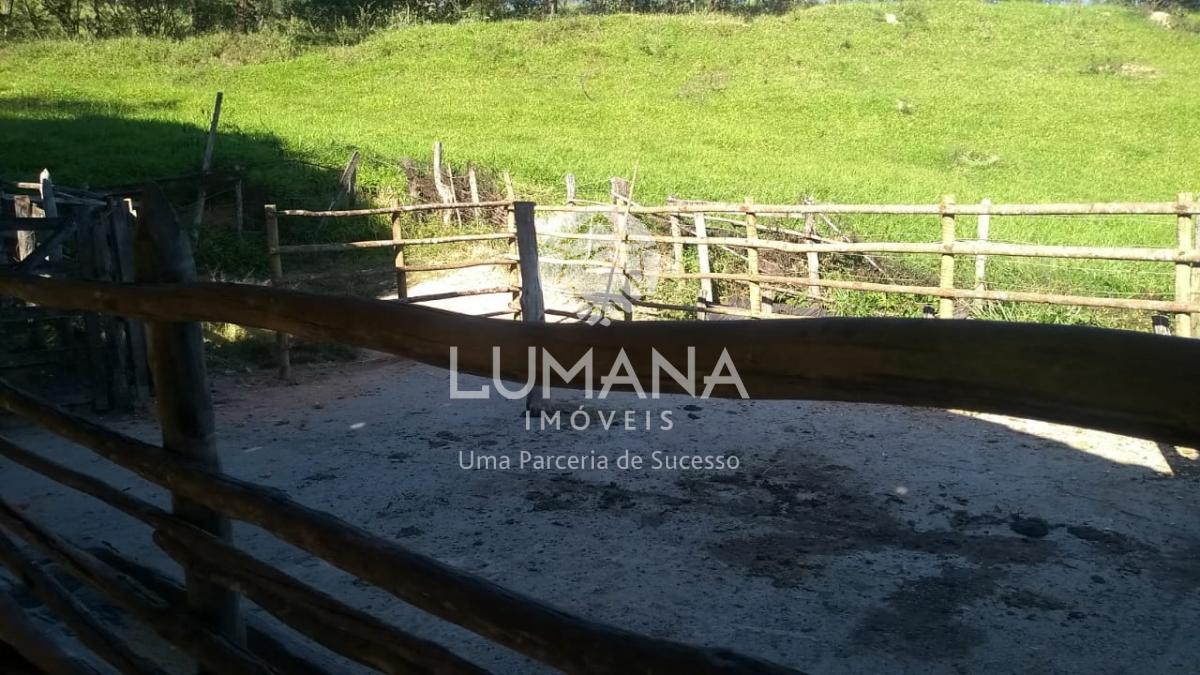 FAZENDA EM CAETÉ — foto 17 — Antônio Dos Santos, Caeté, MG