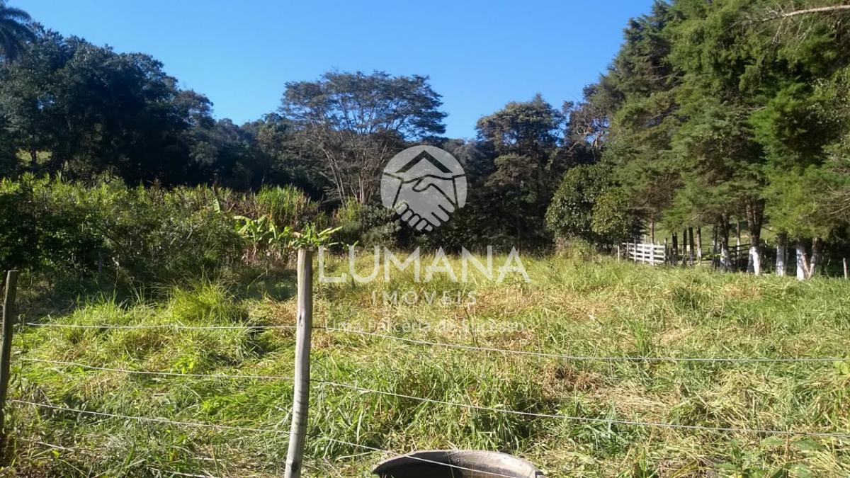 FAZENDA EM CAETÉ — foto 7 — Antônio Dos Santos, Caeté, MG