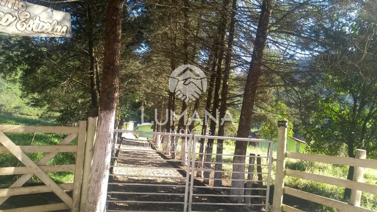 FAZENDA EM CAETÉ — foto 9 — Antônio Dos Santos, Caeté, MG