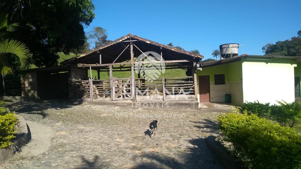 FAZENDA EM CAETÉ — foto 15 — Antônio Dos Santos, Caeté, MG
