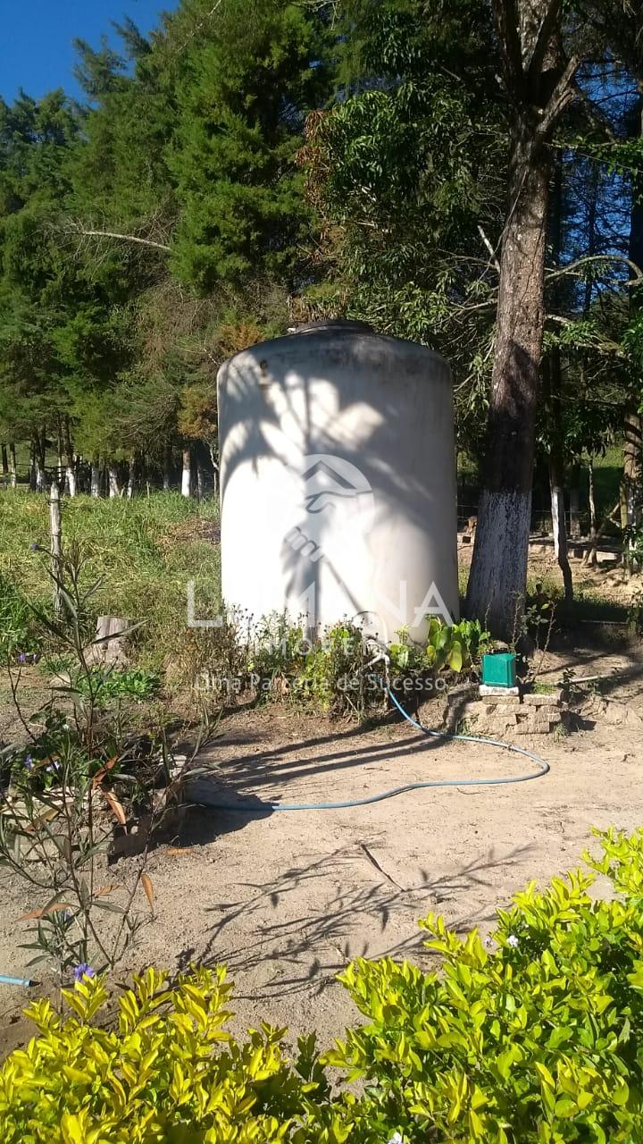 FAZENDA EM CAETÉ — foto 18 — Antônio Dos Santos, Caeté, MG